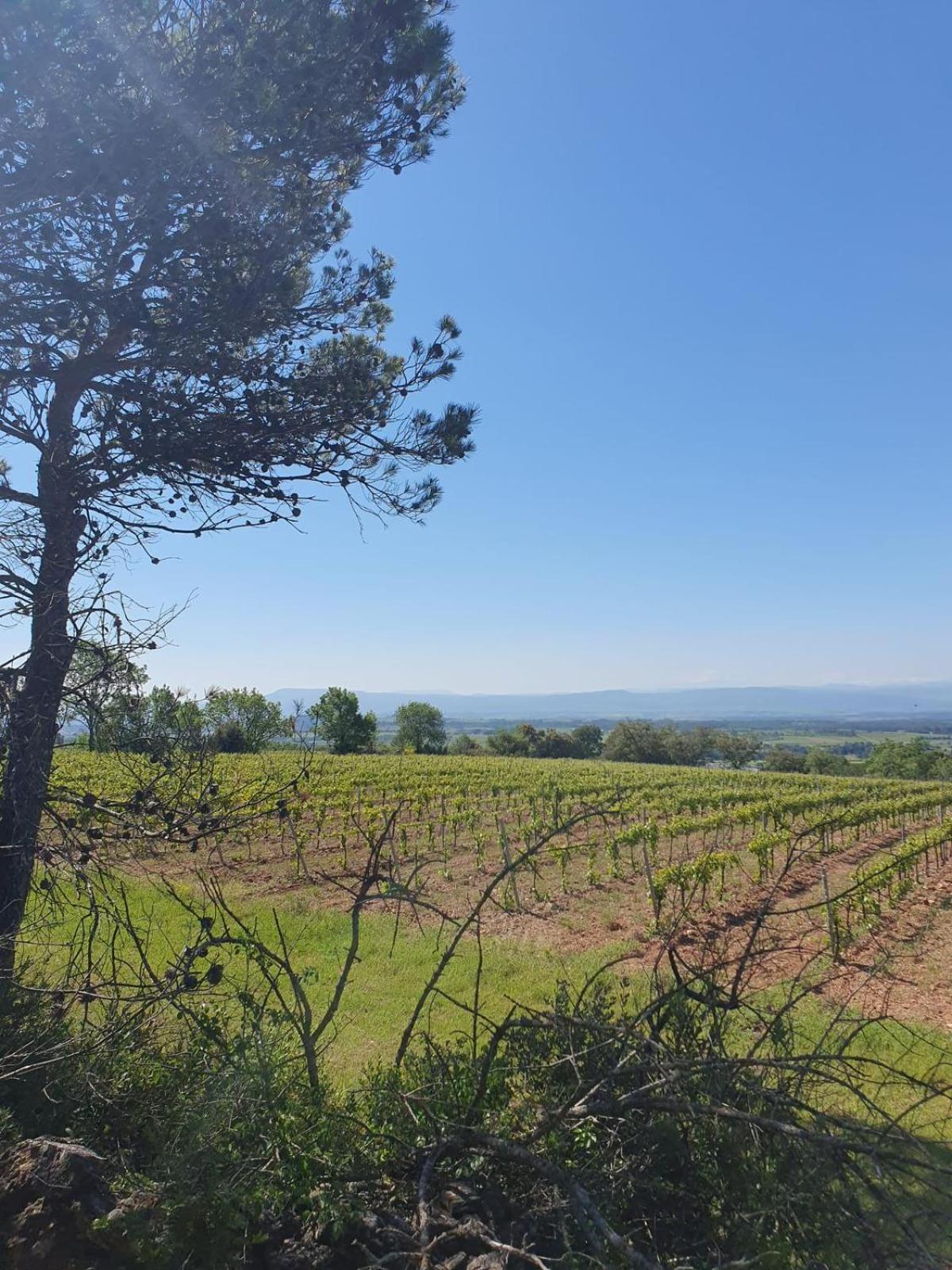Maison De Charme Caunes-Minervois Екстер'єр фото